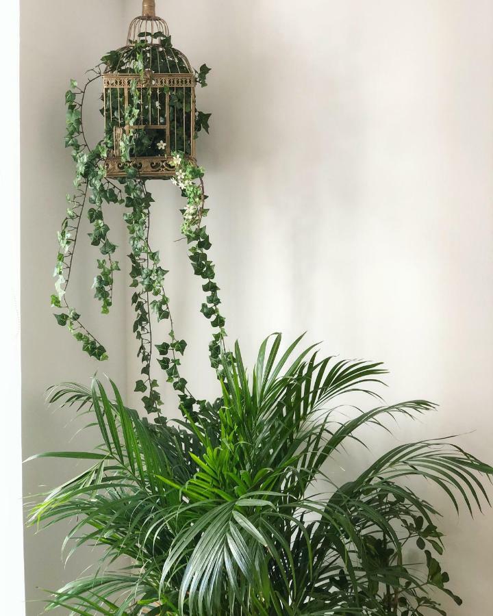 Apartment Fauna & Flora *